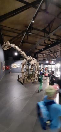 Dzieci oglądają dinozaury w JuraParku