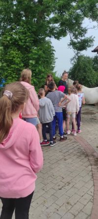 Zajęcia teoretyczne - pielęgnacja koni