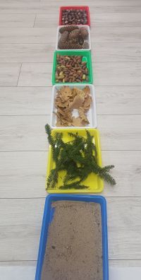 Ścieżka sensoryczna