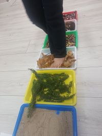 Dzieci ćwiczą na ścieżce sensorycznej