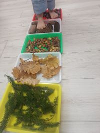 Dzieci ćwiczą na ścieżce sensorycznej