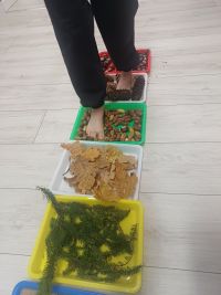 Dzieci ćwiczą na ścieżce sensorycznej