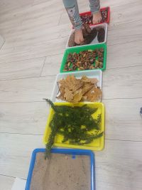 Dzieci ćwiczą na ścieżce sensorycznej