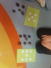 Przedszkolaki liczą kasztany