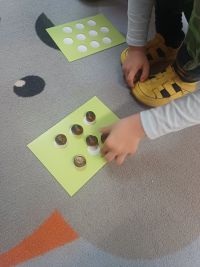 Przedszkolaki liczą kasztany