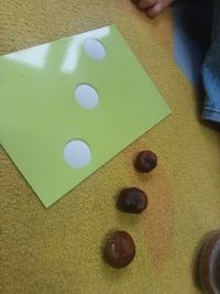 Przedszkolaki liczą kasztany