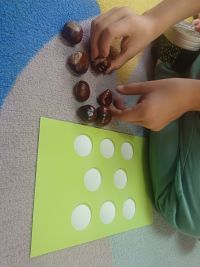 Przedszkolaki liczą kasztany