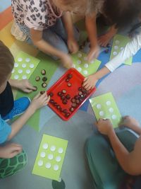 Przedszkolaki liczą kasztany