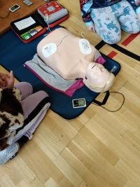 Dzieci bijące rekord pierwszej pomocy