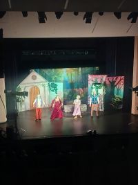 Przedstawienie "Roszpunka"