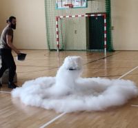 Pokaz grupy zaelektryzowani