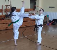 Pokaz w wykonaniu Mistrza