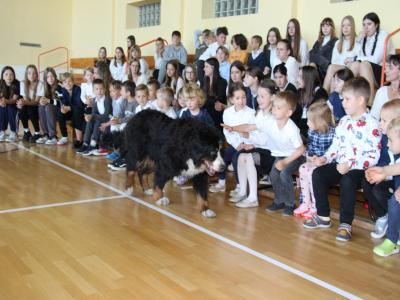 Szkolenie obronne przeciwko psom
